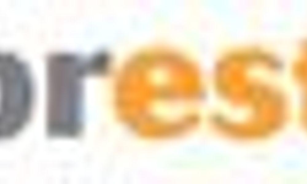 logo_represtor_lettering-NET